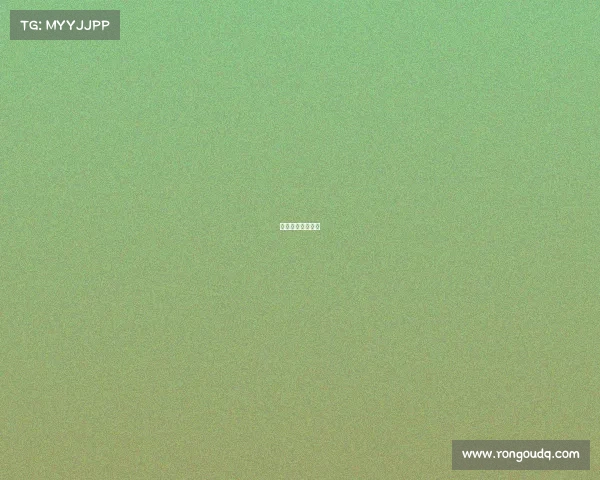 冠军杯赛战绩详情